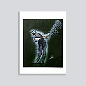 Bilder